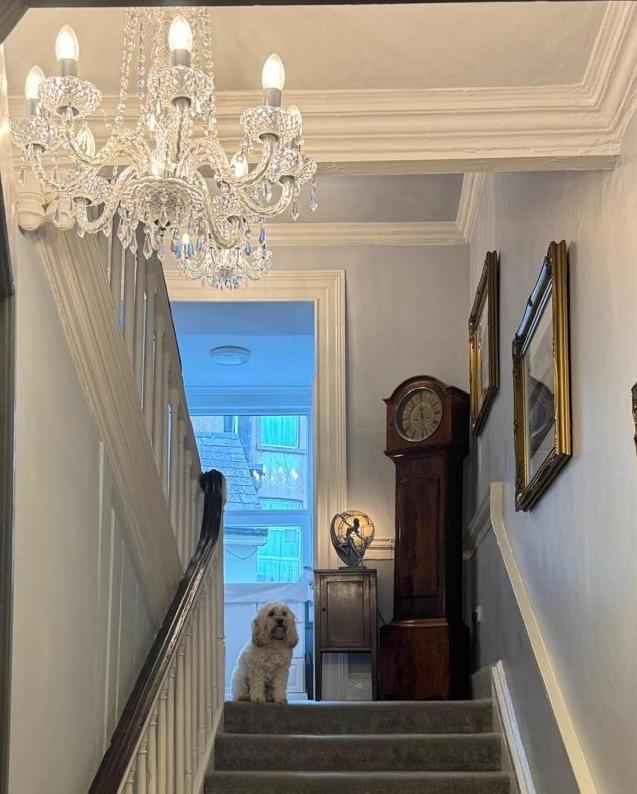 فندق Abbey View House يوغال المظهر الخارجي الصورة